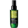TERIAM OYSTER CANNABIS GREEN LAB OIL ILLUMINA-THERAPY 100 ML