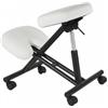 TERIAM SGABELLO MASTER INOX ERGONOMICO BIANCO ART.350.318