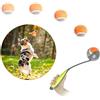 PAWISE Lanciatore di palline per cani, 30,5 cm, con tennis da 5,8 cm, lanciatore di palline portatile per cani di piccola e media taglia, uso interno ed esterno, durevole e facile da pulire