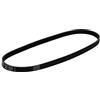 DAYCO 4PK800 CINGHIA POLY-V COM.ALT.CITROEN C25D