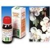 SPECCHIASOL Srl BIANCOSPINO 10 50ML TM SPECCH