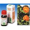 SPECCHIASOL Srl CALENDULA OFF 5 50ML TM SPECCH