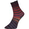 Woolly Hugs Paint Socks di Veronika Hug, 4 fili, 100 g/420 m, 75% lana vergine, 25% poliammide, 2 calze identiche a maglia, (204 rosso/grigio)