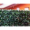 Photinia artificiale