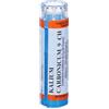 KALIUM CARBONICUM*80 granuli 9 CH contenitore multidose 80 Granuli