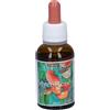 Aurum Mycoreishi Gocce 30 Ml 90 g
