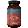 FORLIVE Srl Terranova Vollagene & Acido Ialuronico 50 Capsule