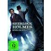 Warner Bros. (PLAION PICTURES) Sherlock Holmes - Spiel im Schatten