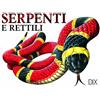 DIX Verlag & PR Serpenti e rettili. Ediz. illustrata