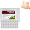 Utapossin Adesivo Ombelicale Bruciatore Di Grasso 30PCS, Cerotto Ombelico, Anti-Cellulite, In Modo Sano E Naturale, Velocemente E Delicatamente, Facile E Conveniente, Body Smooth Path