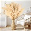 Vortix Confezione da 10 pampas decorative - Pampas grandi fiori secchi decorativi per stile bohémien, perfette per soggiorno, camera da letto, sala da pranzo, matrimoni e hotel