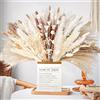 LZGS Go Swing Bands Fiori secchi decorativi Bouquet Erba Della Pampas Decorative 40-44 cm di fiori secchi naturali fai da te Ideale per il soggiorno Boho Camera da letto e vasi (LZGSGO-0107)