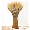 Generic 100 Steli Spighe di Grano Secche Spighe di Grano Decorative Fiori Secchi Naturali Spighe di Grano Decorative per Bomboniere 40 cm