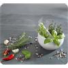 WENKO Multi Lastra Mod Cucina a base di erbe, tagliere da cucina 3in1, paraspruzzi, copertura per fornelli, tagliere, vetro, 56 x 50 cm