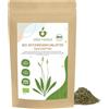 IDDA Herbal Piantaggine Lanceolata Tisana BIO 100g, Piantaggine Lanceolata bio Essiccata e Tagliata