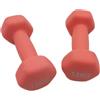 Amazon Basics AmazonBasics Pesi Manubri 3.0 Rosa Set di 2 2 x 1,5 kg Fitness con Neoprene;