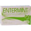 LAERBIUM PHARMA Srl Entermint 30 capsule da 420 mg - - 936005281