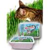 BENEK Erba gatta a crescita rapida duo split container