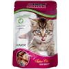 BENEK Bustina per gatti con pezzi di tacchino in salsa 100g