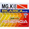 Pool Pharma MGK Vis ricarica plus 14+14 bustine Pool Pharma