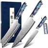 DRAGON RIOT Set di Coltelli da Cucina Professionali Giapponesi, Set da 3 Coltelli ultra affilati con manico ergonomico in resina, include Coltello da Chef, Coltello Santoku e Coltello Multiuso