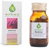 ERBEX SRL Bardana 100 Capsule 380mg