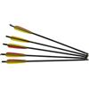 GOLD ARROWS Kit 5 frecce per balestra 20 da 150 - 200 libbre - Golden Arrow