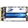 THREE COLOUR DOGFISH Dogfish SSD M.2 2242 250GB Unidad De Estado S?ido Incorporada Height PC Unit?a Stato Solido Integrata Interno MLC Desktop Laptop Hard Drive Disk m2(M.2 2242 250GB)