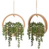 Floweroyal - Set di 2 piante grasse artificiali da appendere da 30,5 cm in vaso con cordoncino da 21 cm, per decorazione da parete interna ed esterna (colore legno).