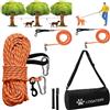 LOQATIDIS Cavo 3 in 1 per Legare Cani da Campeggio - Carrello Sopraelevato Riflettente 30 m per 2 Cani, Guinzaglio Portatile per Esterni (30M + 2 x 3M / Arancione)