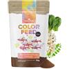NatureHolic Nano Color Feed Mini Mangime | Microgranulato di rinforzo del colore con astaxantina Cantaxantina Beta Carotene | Per pesci sciami Salmler Neonsalmler | Proteine di insetti di alta qualità