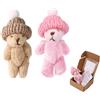TOYMIS 2 Sets Mini Orsetto di Peluche in Scatola con Cappello, Adorabili Mini Orsetto di Peluche Piccolo con Carta Incoraggiante Bambola Carina Ispiratrice per Ufficio Camera e Feste (Cachi e Rosa)