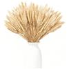Generico 100 Pezzi Spighe di Grano Secche, Spighe di Grano Decorative, Fiori Secchi Decorativi, Fiori Secchi Naturali per Feste, Caminos, Casa, Chiesa, Vaso Tavolo Matrimonio DIY 40cm