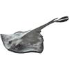 Safari Ltd. Safari Sting Ray giocattolo