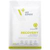 VETEXPERT VET EXPERT Veterinary Diet Cat Recovery pouch 100 g