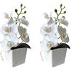 XIZHI Confezione da 2 orchidee artificiali con vaso, 25,4 cm, bonsai, fiori di seta, orchidea farfalla, con vaso, per matrimoni, ufficio, casa, centrotavola interni (bianco)