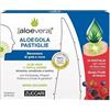 Zuccari [aloevera]2 - AloeGola 24 Pastiglie - Benessere di gola e voce con Aloe Vera a tripla azione Idratante, Emolliente e Lenitiva (Frutti Rossi)
