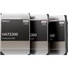 Synology HAT5300 - Disco rigido - 12 TB - interno - 3,5" (8,9 cm) - HAT5300-12T