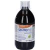 Gastrophit Macerato Gocce Orali 500 ml orali