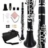 YoungMonic Ebonite Clarinetto Mi bemolle con chiavi argentate per performance orchestrali professionali, Clarinetto Mi bemolle professionale nero con borsa imbottita e kit di manutenzione completo (n2