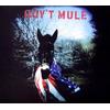 Floating World Gov't Mule