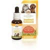 Australian Bush Flower Essences Instinct Balance 30 Ml Essenza Floreale Per Cani e Gatti