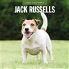 Red Robin Publishing Jack Russells - Calendario da parete quadrato 2026 Red Robin Publishing