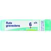 BOIRON Srl RUTA GRAVEOLENS 6CH GRANULI
