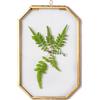 NCYP Piccola cornice portafoto doppia in vetro, 10,2 x 15,2 cm, ottagonale sospesa, cornice galleggiante per fiori secchi pressati, decorazione da parete moderna, oro (piante non incluse)