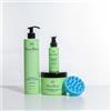 ROSE BAIE ROSEBAIA | Routine Trio Aloe Vera e Cheratina | Purificazione e idratazione | Shampoo 500ml | Maschera 500ml | Siero 100ml | Spazzola massaggiante in omaggio