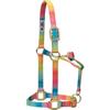 Weaver Equine Weaver Leather Capezza regolabile in poliestere arcobaleno per mento e gola a scatto, 2,5 cm, piccolo cavallo