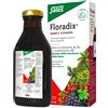 Floradix - Integratore Alimentare Con Ferro E Vitamine per Ridurre La Stanchezza
