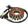 WOOSTAR 18 Bobina 5 Fili Magneto Statore Sostituzione per 1998-2002 Suzuki AN250 Burgman250 1999-2002 Suzuki AN400 Burgman400 OEM 32101-14F20-000
