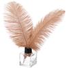PATIKIL 30 Pz Piume Struzzo Naturali Ingrosso 8-10 Pollici/ 20-25 cm Grandi Piume Struzzo per Artigianato Decorazione Casa Matrimonio Festa Decorazione Vaso (Marrone)